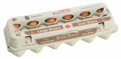 Eggs - Brown (Burnbrae)
